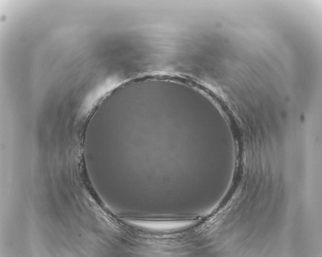 X0000088431359200705291514