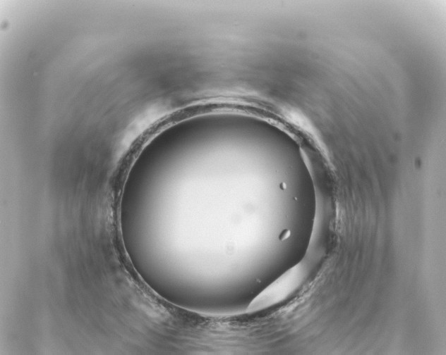 X0000088431360200705291514