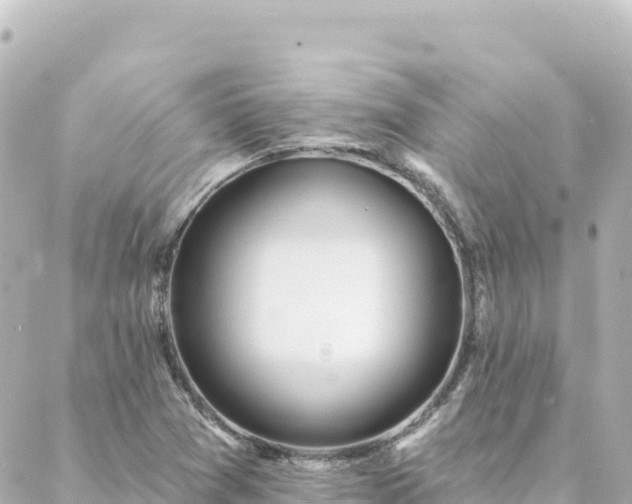 X0000088431361200705291514