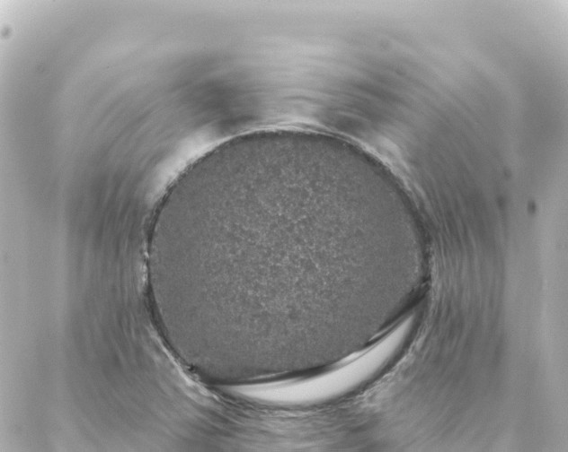 X0000088431363200705291514