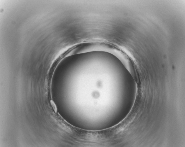 X0000088431364200705291514