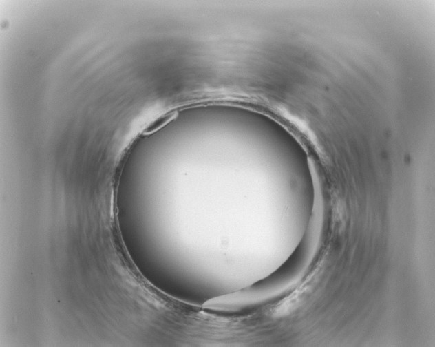 X0000088431365200705291514