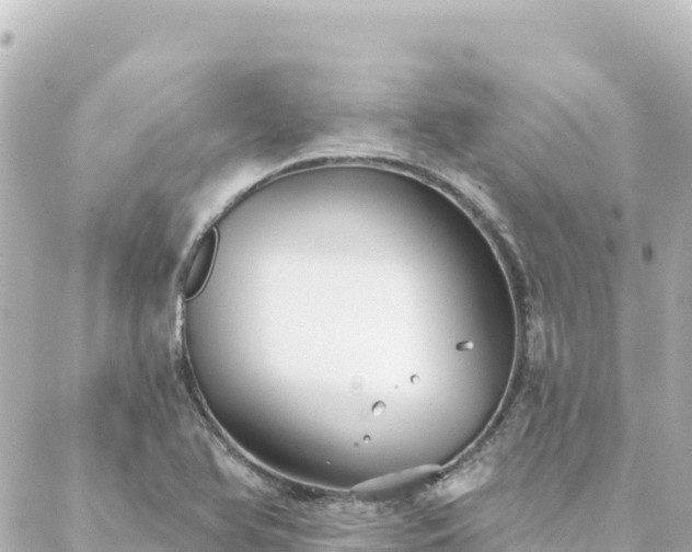 X0000088431366200705291514