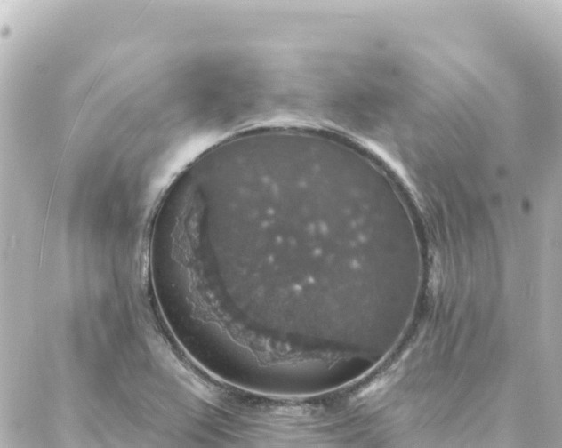 X0000088431367200705291514