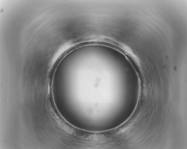 X0000088431368200705291514