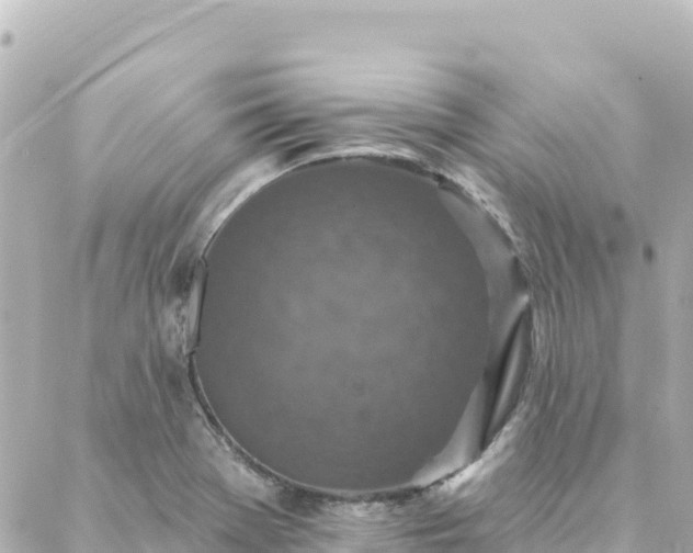 X0000088431369200705291514