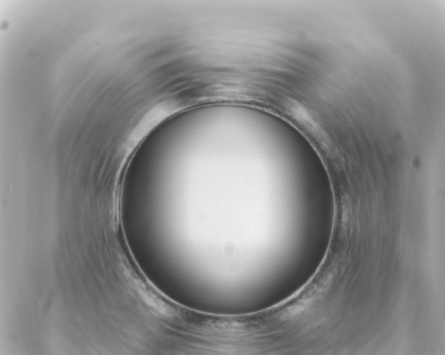 X0000088431370200705291514