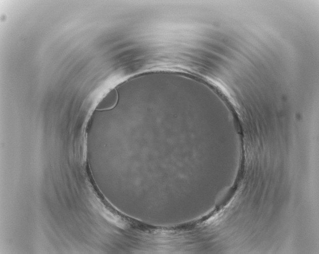 X0000088431371200705291514