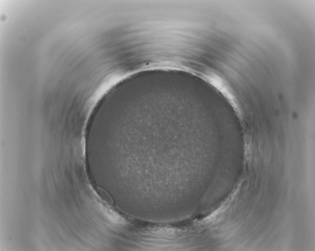 X0000088431372200705291514