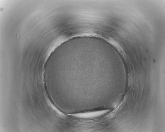 X0000088431374200705291514