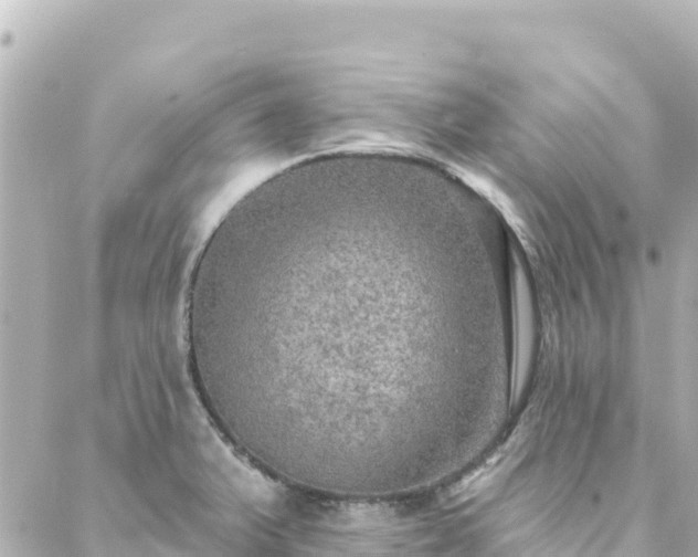 X0000088431375200705291514