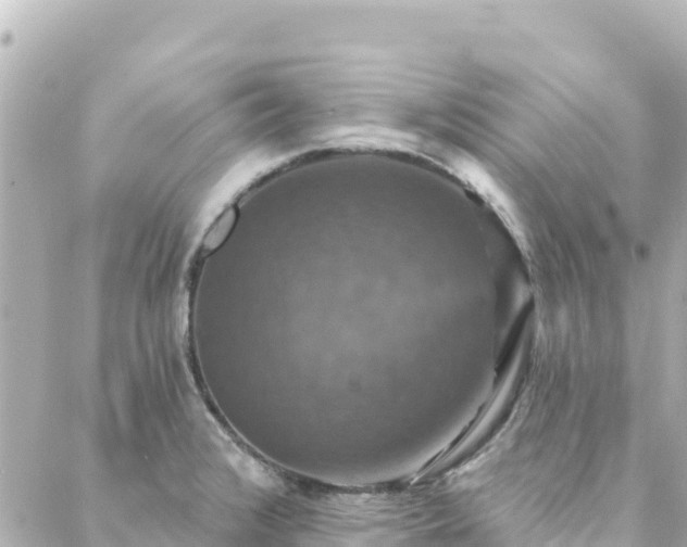 X0000088431376200705291514