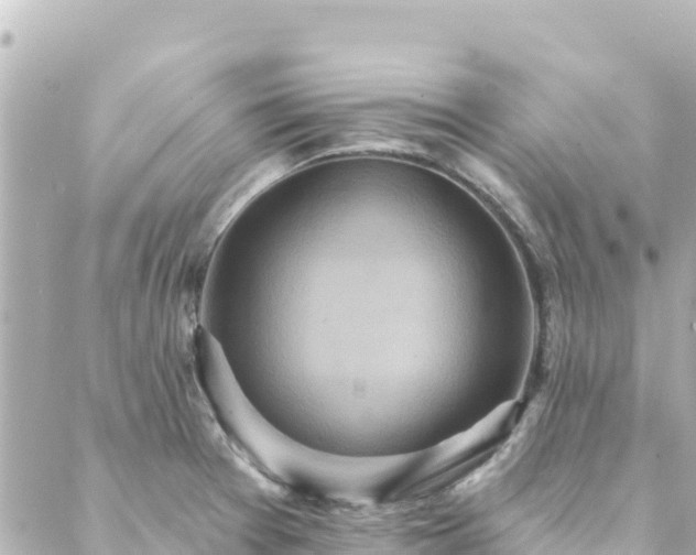 X0000088431377200705291514