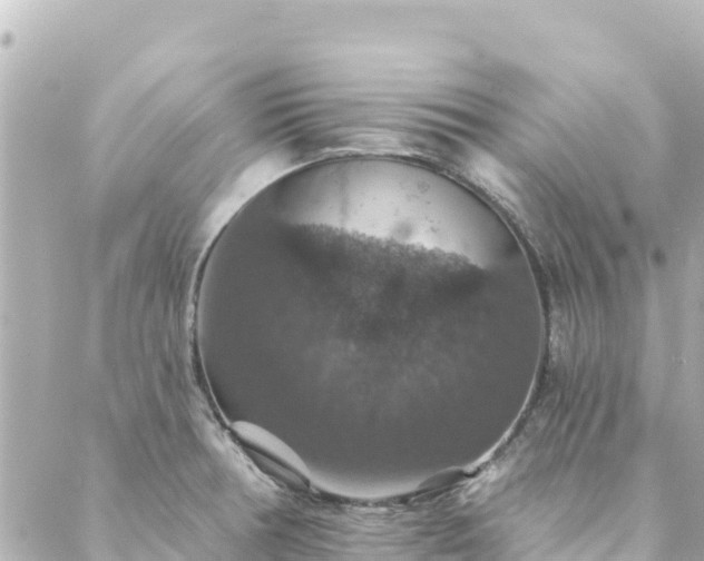 X0000088431378200705291514