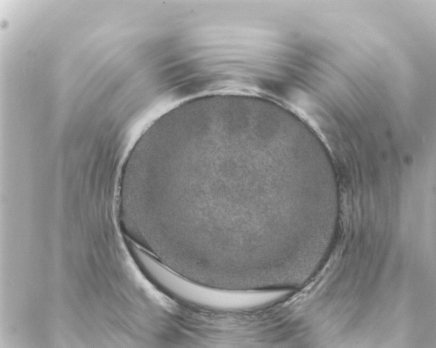 X0000088431379200705291514