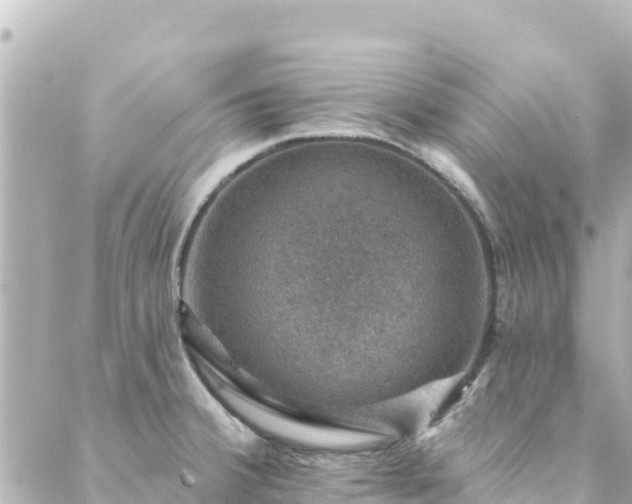 X0000088431380200705291514