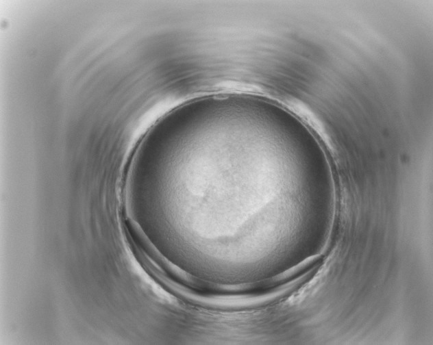 X0000088431381200705291514