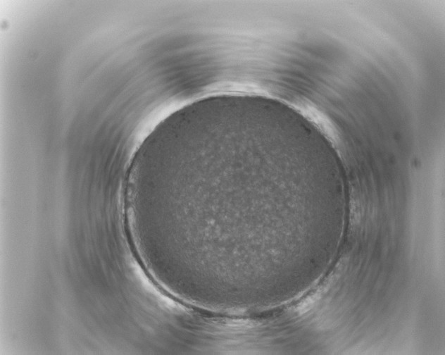 X0000088431382200705291514