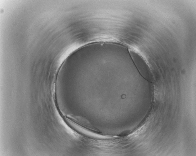 X0000088431383200705291514