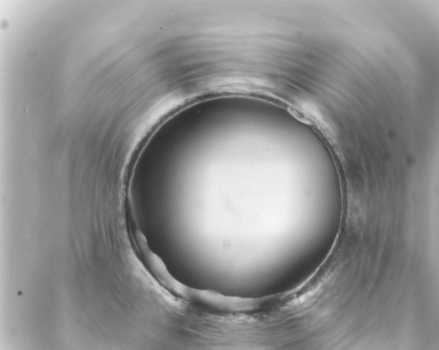 X0000088431384200705291514