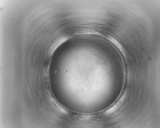 X0000088431385200705291514