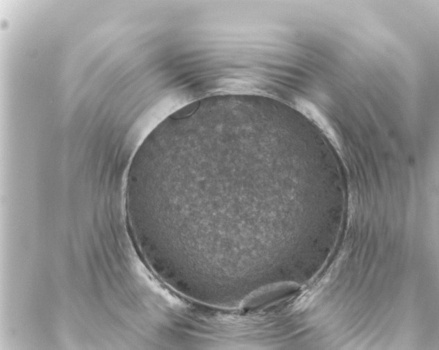 X0000088431386200705291514