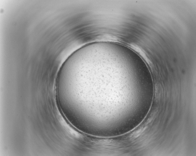 X0000088431387200705291514