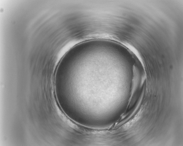 X0000088431389200705291514