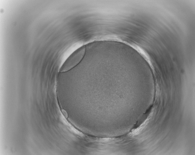 X0000088431390200705291514