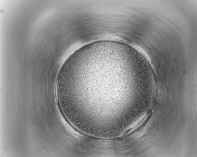 X0000088431391200705291514