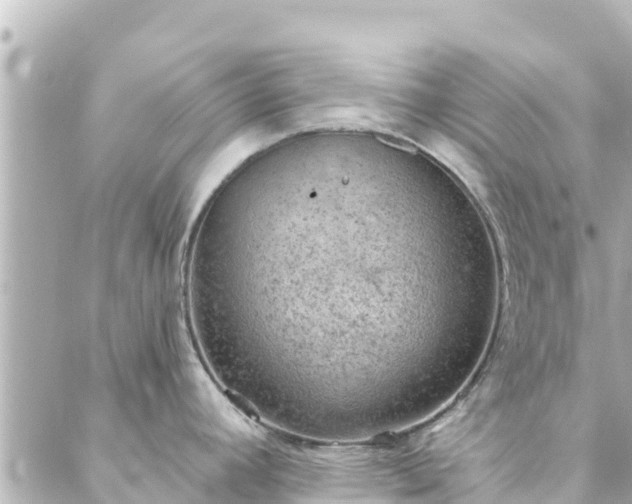 X0000088431392200705291514