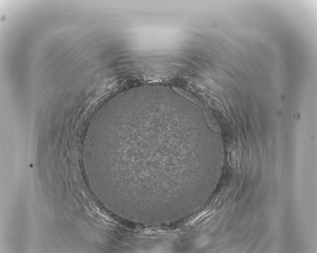 X0000088431393200705291513