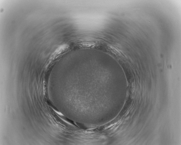 X0000088431394200705291513