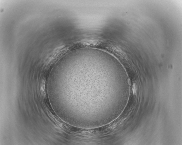 X0000088431396200705291513