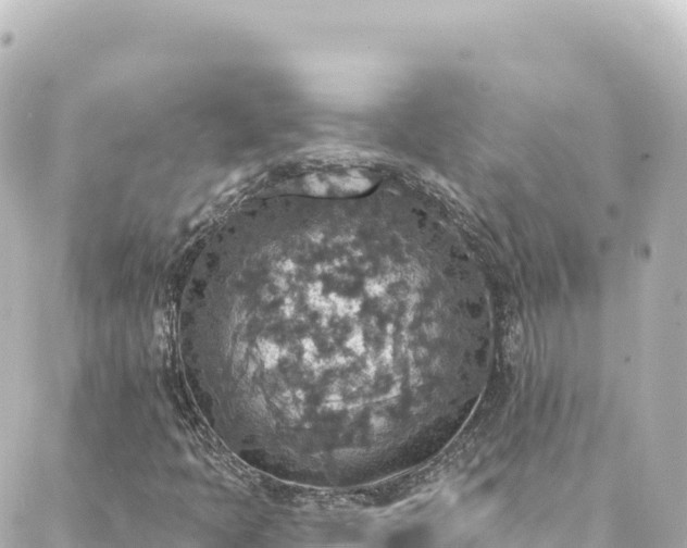 X0000088431397200705291513