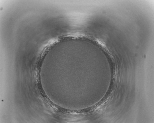 X0000088431398200705291513