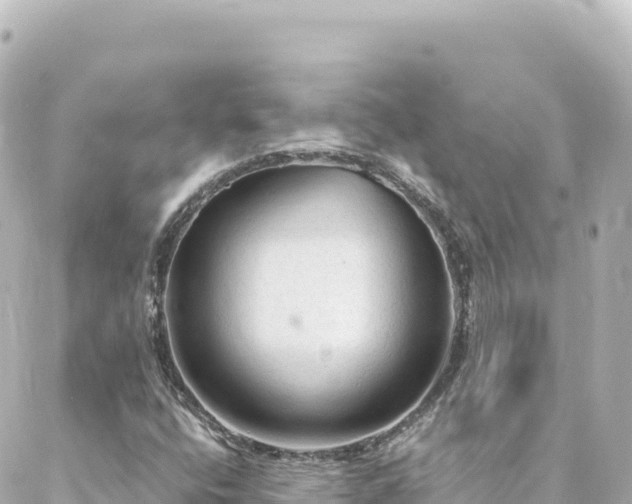 X0000088431400200705291513