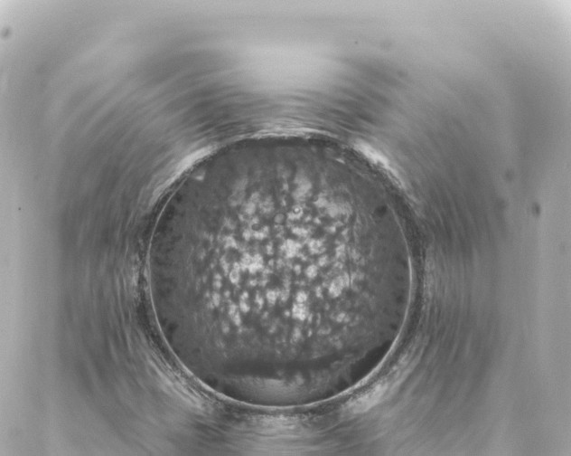 X0000088431401200705291513