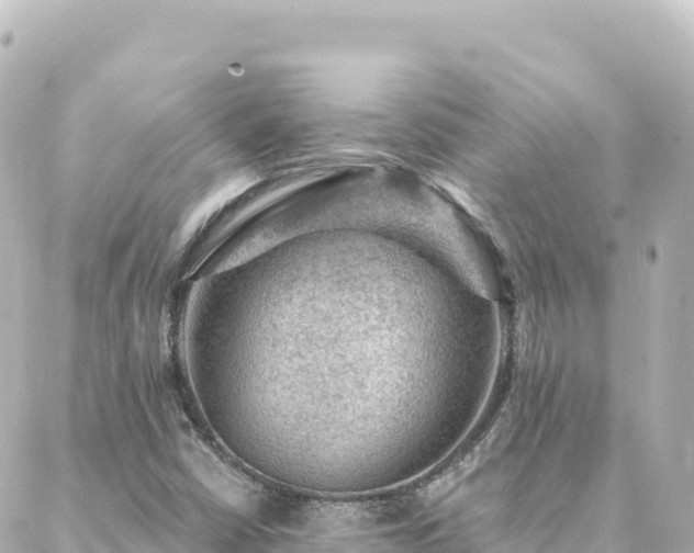 X0000088431402200705291513