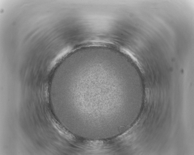 X0000088431403200705291513