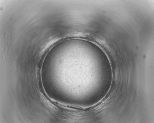 X0000088431404200705291513