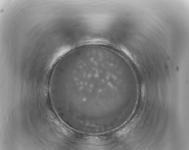 X0000088431405200705291513