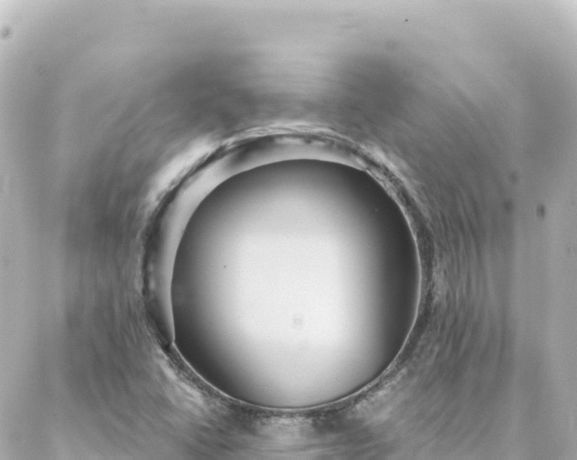 X0000088431406200705291513