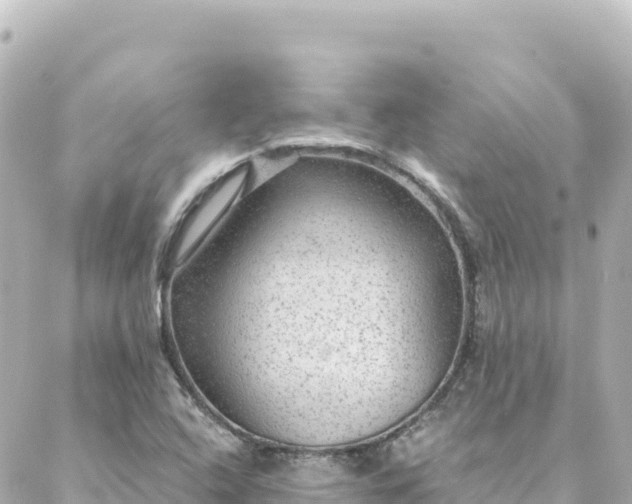 X0000088431408200705291513