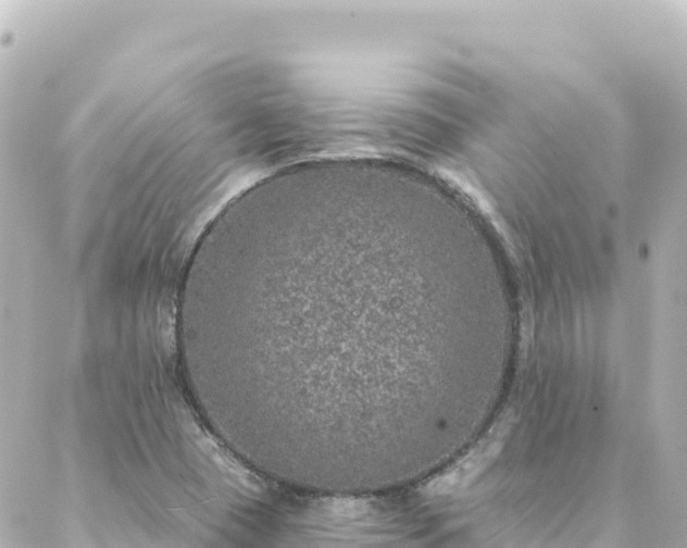 X0000088431409200705291513