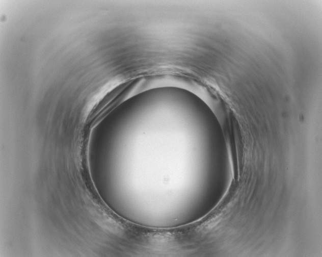 X0000088431410200705291513