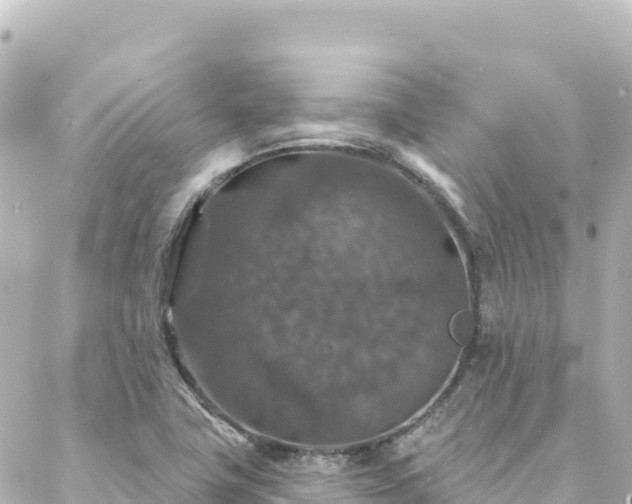 X0000088431411200705291513