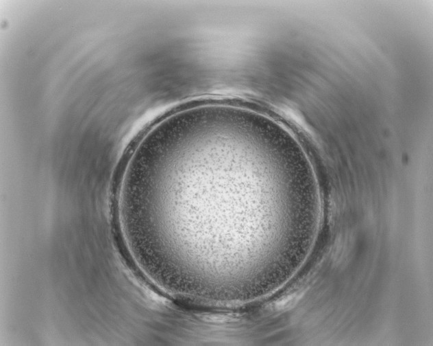 X0000088431412200705291513