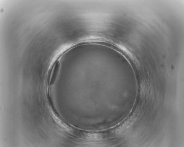 X0000088431413200705291513