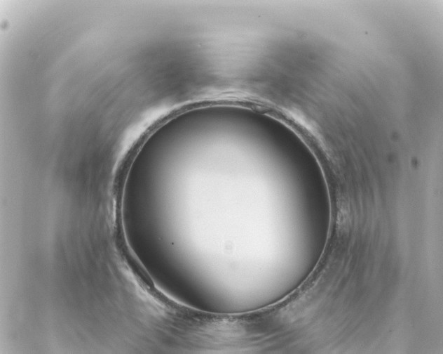 X0000088431414200705291513